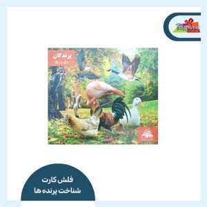 کتاب فلش کارت